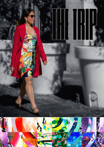 Skater Dress: The Trip