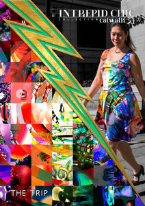 Skater Dress: The Trip